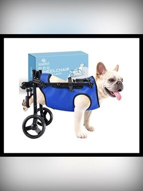 Dog Wheelchair for Back Legs - Adjustable Height Width Small